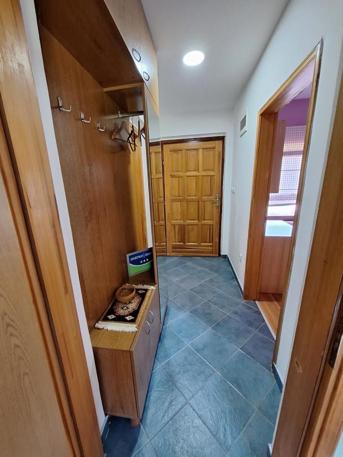Apartman Sara Pale - Ski Centar Ravna Planina Eksteriør billede