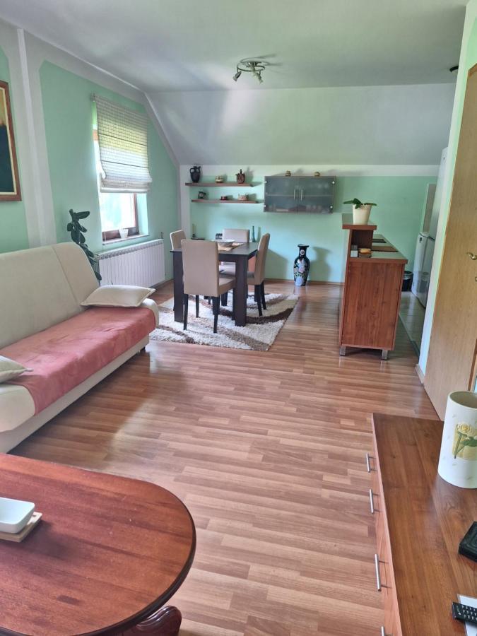Apartman Sara Pale - Ski Centar Ravna Planina Eksteriør billede