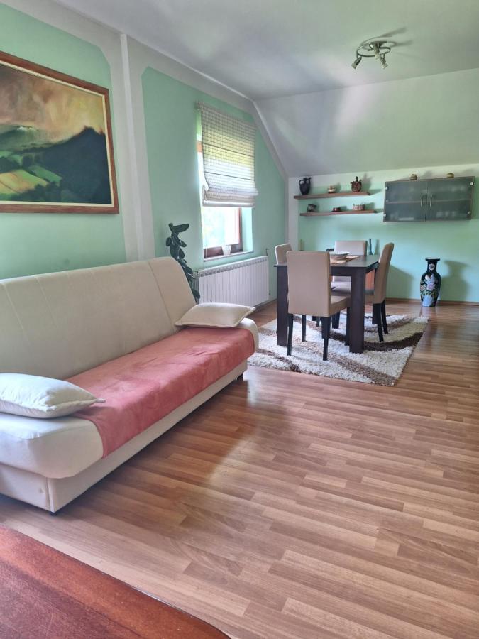 Apartman Sara Pale - Ski Centar Ravna Planina Eksteriør billede