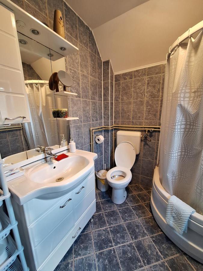 Apartman Sara Pale - Ski Centar Ravna Planina Eksteriør billede
