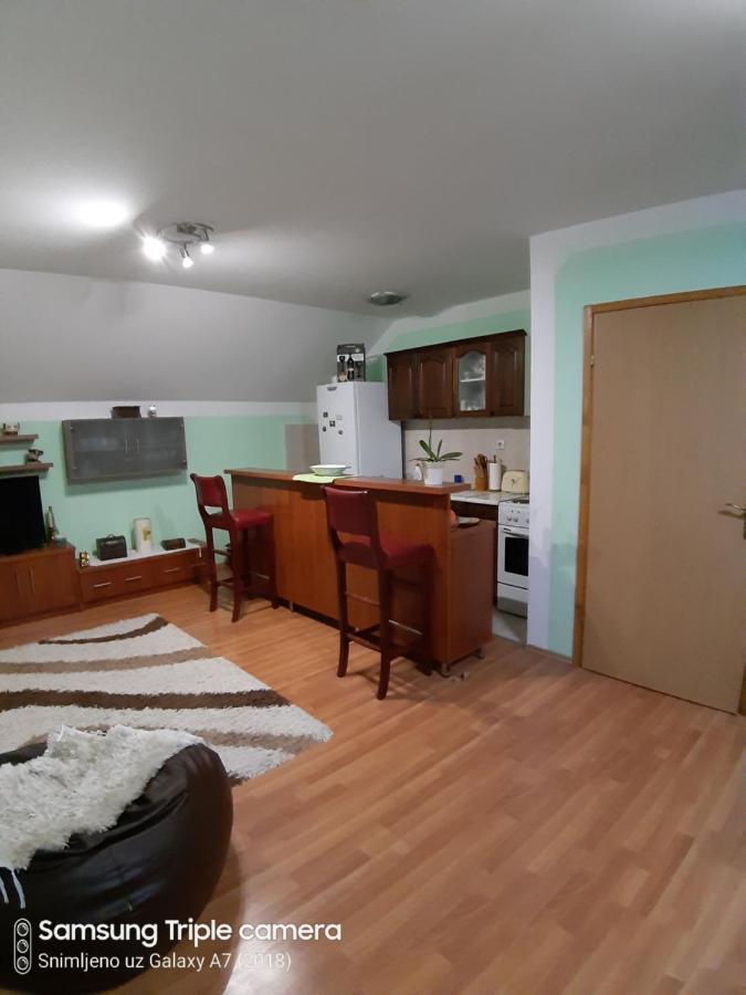 Apartman Sara Pale - Ski Centar Ravna Planina Eksteriør billede