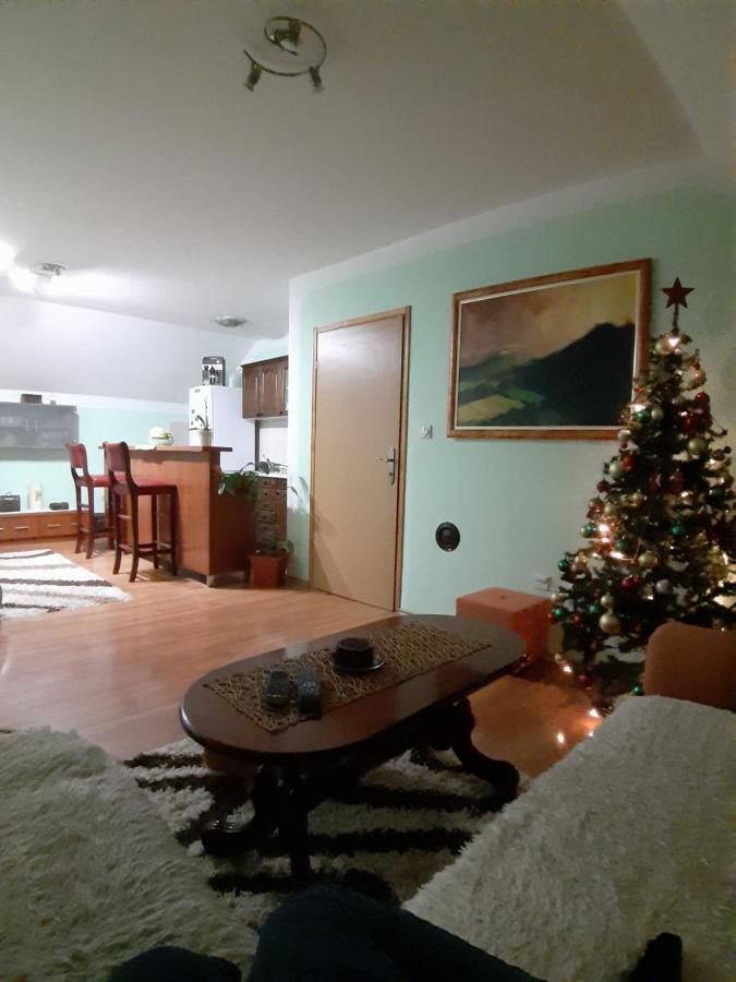 Apartman Sara Pale - Ski Centar Ravna Planina Eksteriør billede